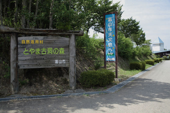 とやま古洞の森 自然活用村